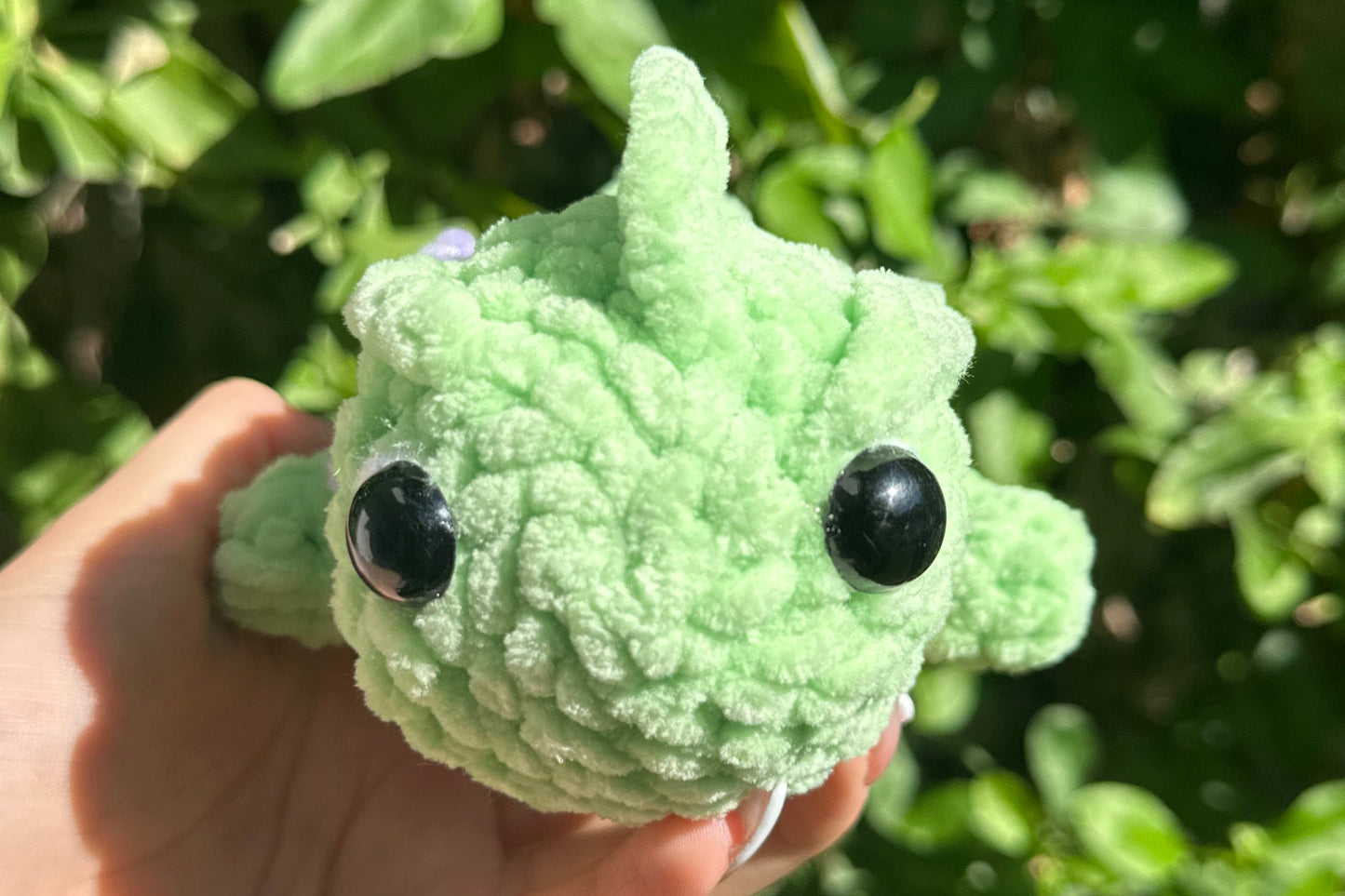 Crochet Pascal